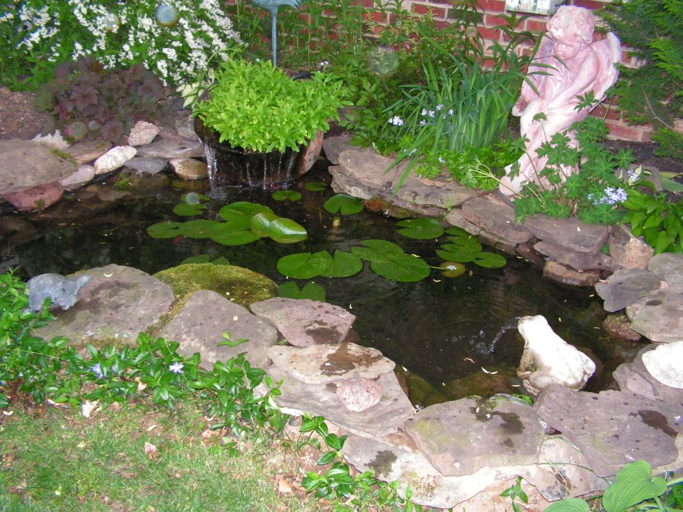 Best ideas about Water Garden Ideas
. Save or Pin Goldfish Ponds & Water Gardens Now.