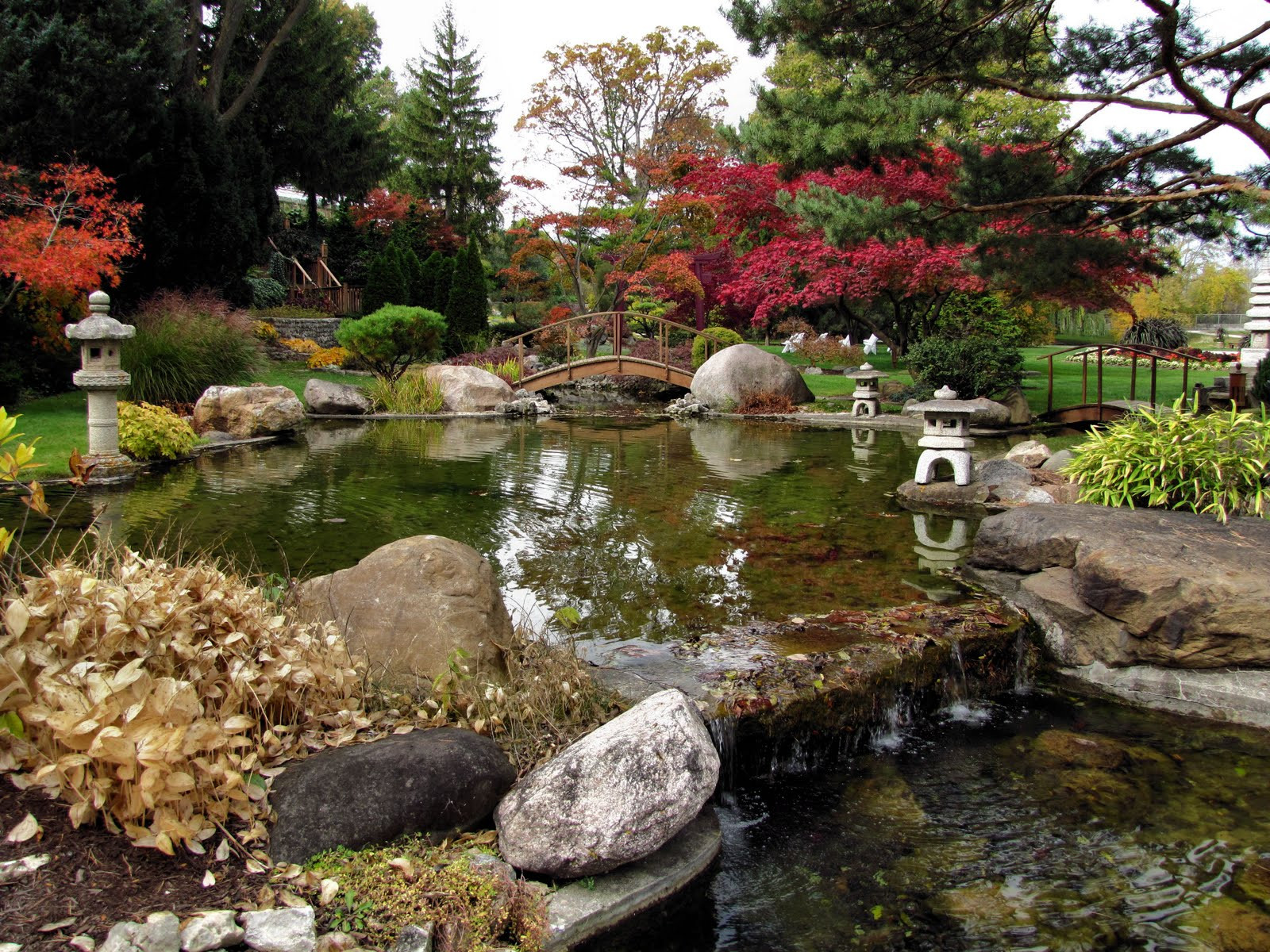 Best ideas about Water Garden Ideas
. Save or Pin water gardens – findingtimetowrite Now.