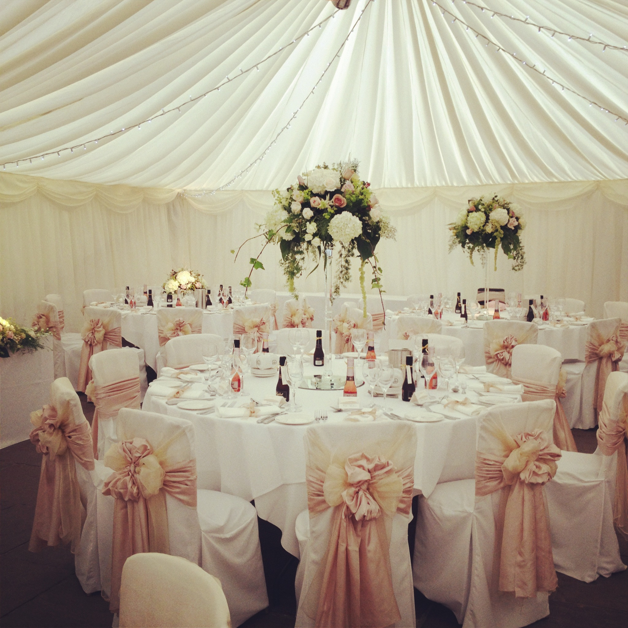 Best ideas about Wedding Chair Sashes
. Save or Pin Wedding Chair Covers Wedding Sashes & Seat Cover Hire Now.