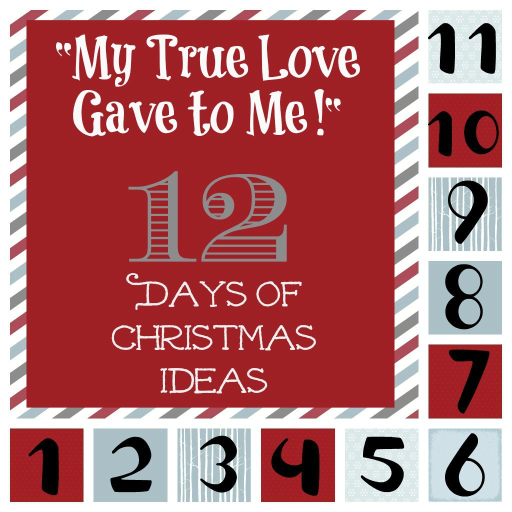 Best ideas about 12 Days Of Christmas Funny Gift Ideas
. Save or Pin "My True Love Gave to Me" 12 Days of Christmas Ideas Now.