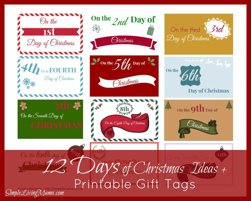 Best ideas about 12 Days Of Christmas Gift Ideas For Kids
. Save or Pin The 12 Days of Christmas Ideas Printable Gift Tags Now.