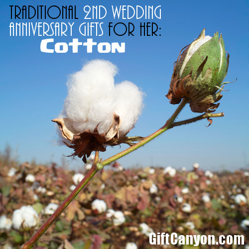 Best ideas about 2Nd Wedding Anniversary Gift Ideas For Her
. Save or Pin Traditional 2nd Wedding Anniversary Gifts for Her Cotton Now.