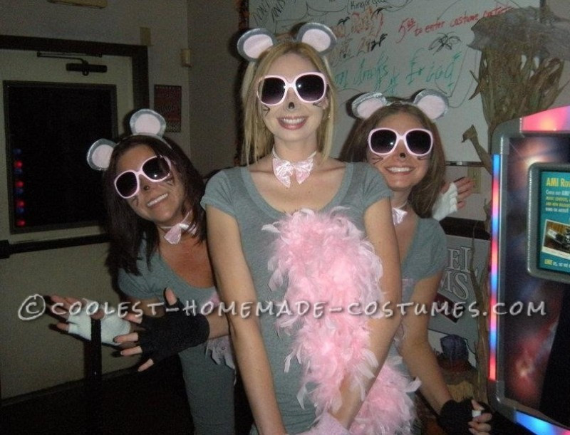 Best ideas about 3 Blind Mice Costume DIY
. Save or Pin Group Costume Ideas That Are Cheap Easy And Totally DIY Now.