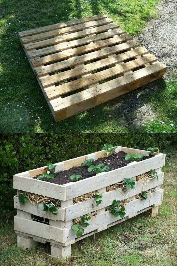 Best ideas about Above Ground Garden DIY
. Save or Pin ground garden DIY projects Now.