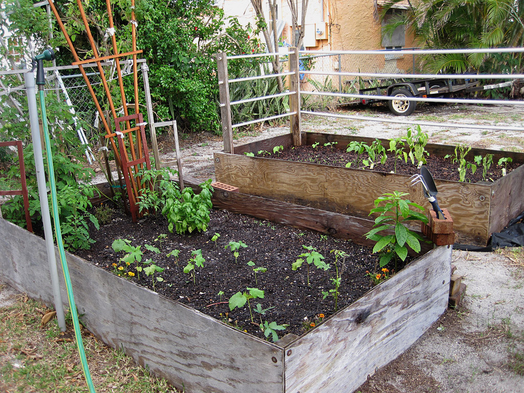 Best ideas about Above Ground Garden DIY
. Save or Pin Diy Ground Garden Box — Home Ideas Collection Now.