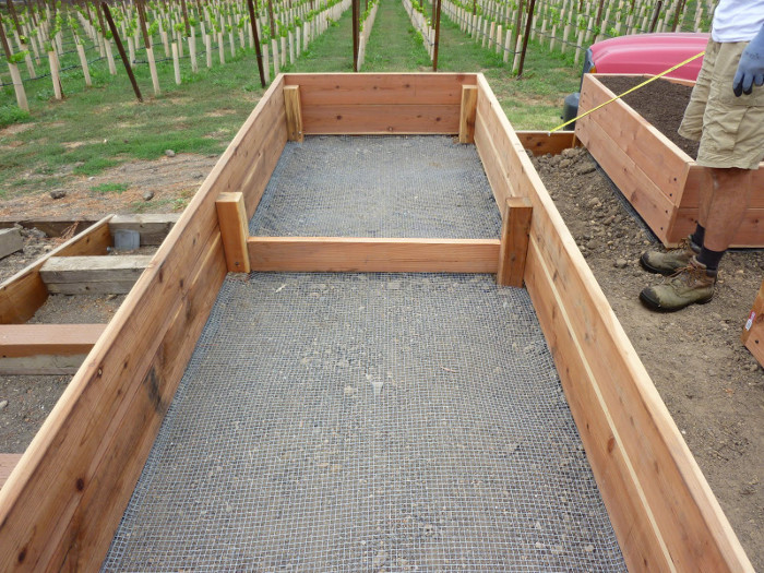 Best ideas about Above Ground Garden DIY
. Save or Pin Savvy Housekeeping All About Raised Beds Now.