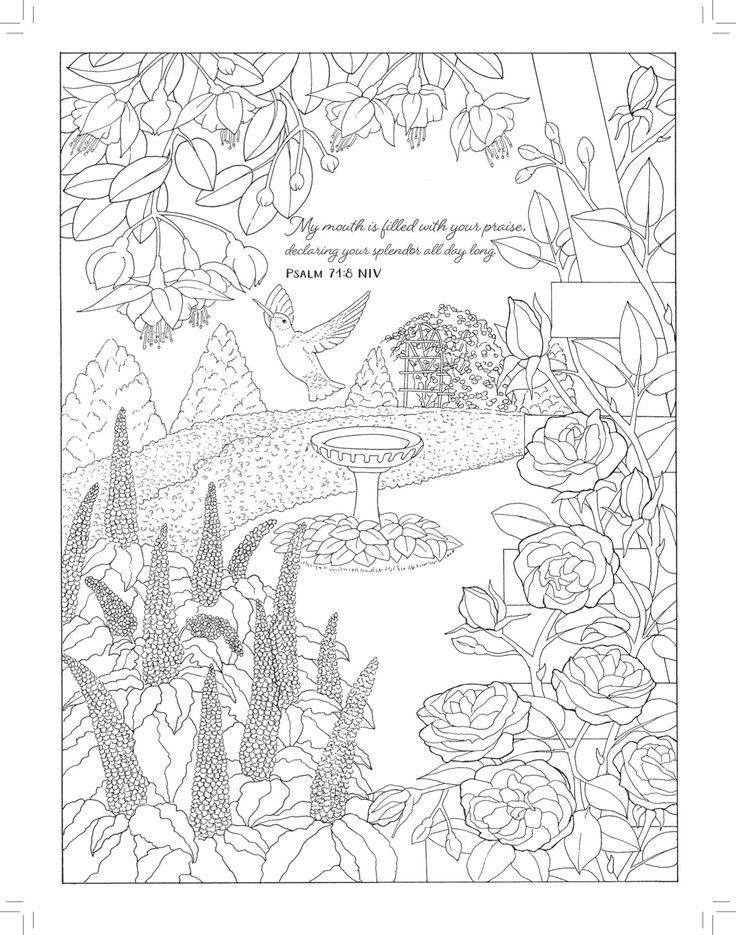 Best ideas about Adult Coloring Books Amazon
. Save or Pin A Walk in the Garden Coloring Beauty Majestic Now.