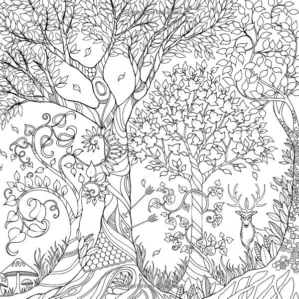 Best ideas about Adult Coloring Books Amazon
. Save or Pin Enchanted Forest An Inky Quest & Coloring Book Johanna Now.