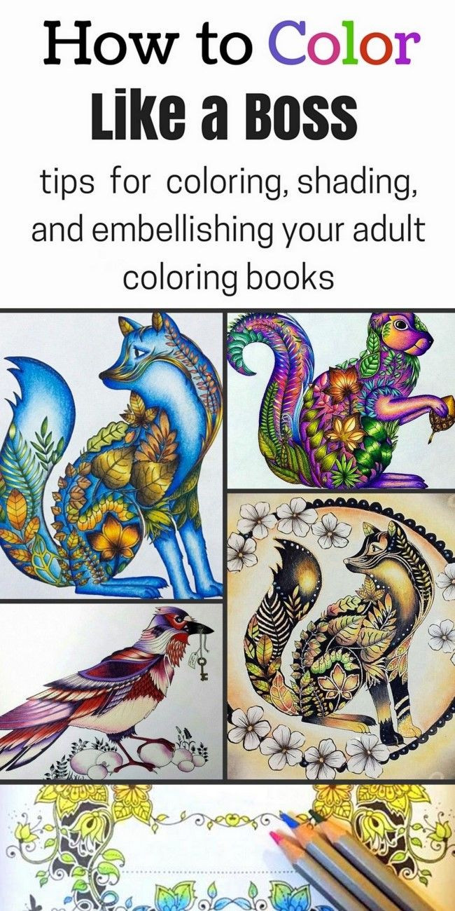 Best ideas about Adult Coloring Books Tips
. Save or Pin Best 25 Adult coloring ideas on Pinterest Now.