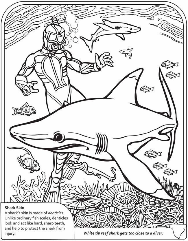 Best ideas about Adult Coloring Pages For Boys
. Save or Pin 128 best coloring pages boys images on Pinterest Now.