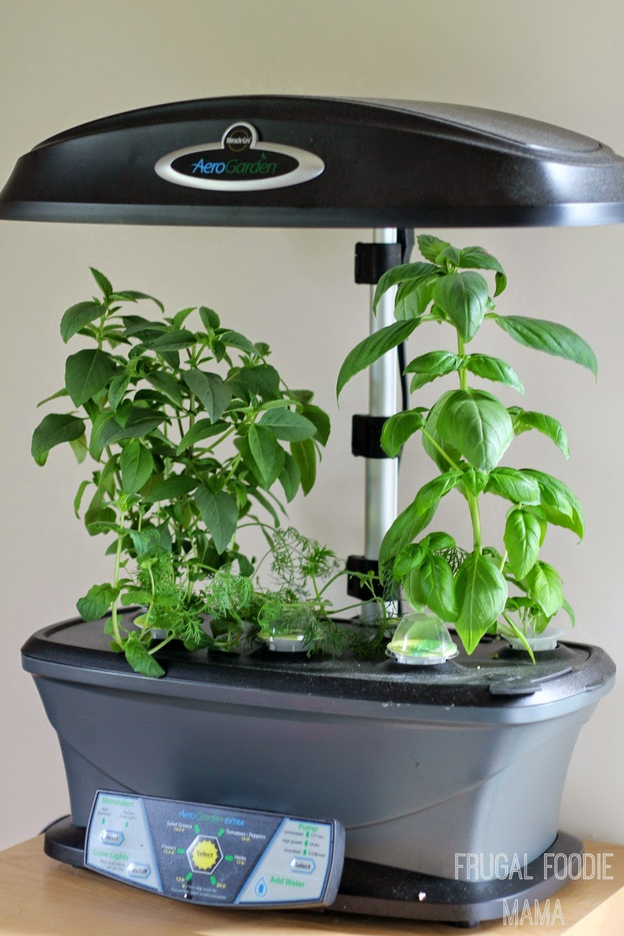 Best ideas about Aerogarden Pods DIY
. Save or Pin Frugal Foo Mama Why You Need An AeroGarden & The Now.