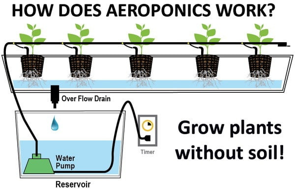 Best ideas about Aeroponics DIY Plans
. Save or Pin DIY Homemade Aeroponics System Grow Plants Without Soil Now.