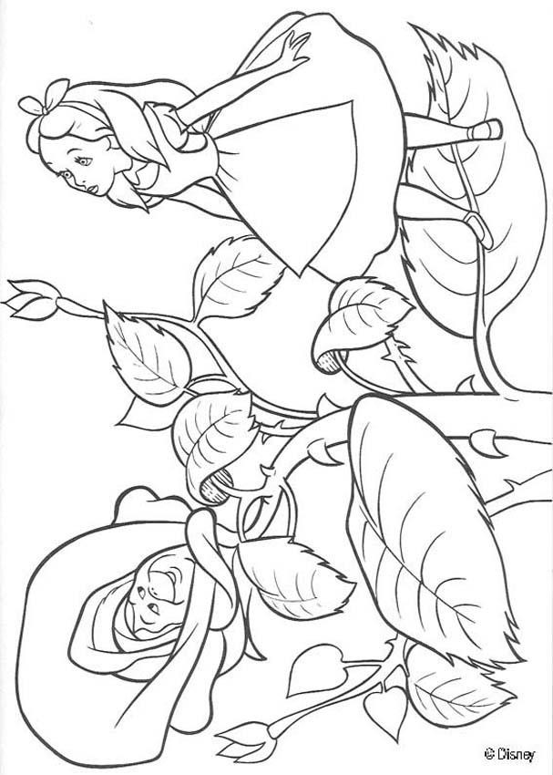 Best ideas about Alice In Wonderland Printable Coloring Pages
. Save or Pin Alice in Wonderland coloring pages Alice 13 Now.