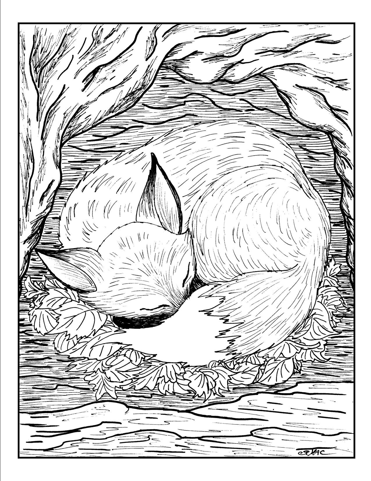 Best ideas about All Fox Coloring Pages For Teens
. Save or Pin Free Adult Coloring Pages – S Mac s Place to Be Now.