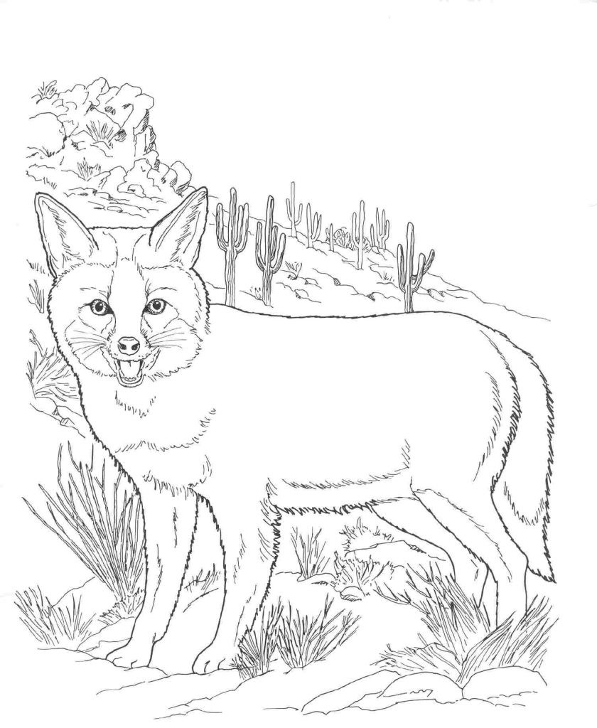 Best ideas about All Fox Coloring Pages For Teens
. Save or Pin Free Printable Fox Coloring Pages For Kids Now.