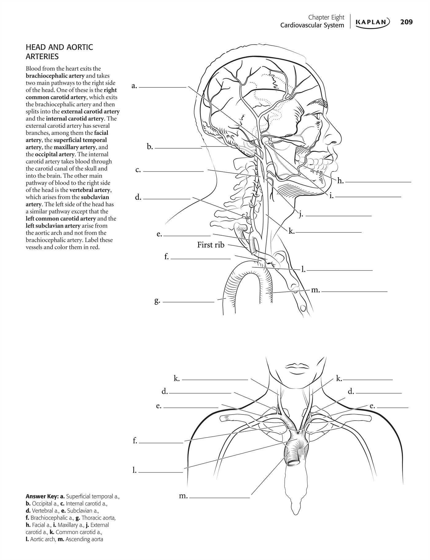 Best ideas about Anatomy Coloring Book Free
. Save or Pin Heart Anatomy Coloring Book Now.