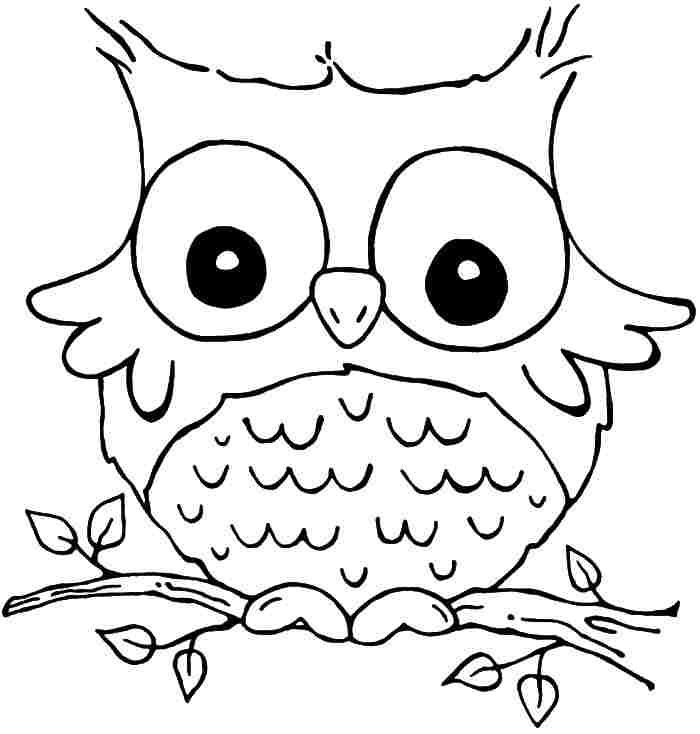 Best ideas about Animal Coloring Pages For Boys
. Save or Pin 25 best ideas about Owl Coloring Pages on Pinterest Now.