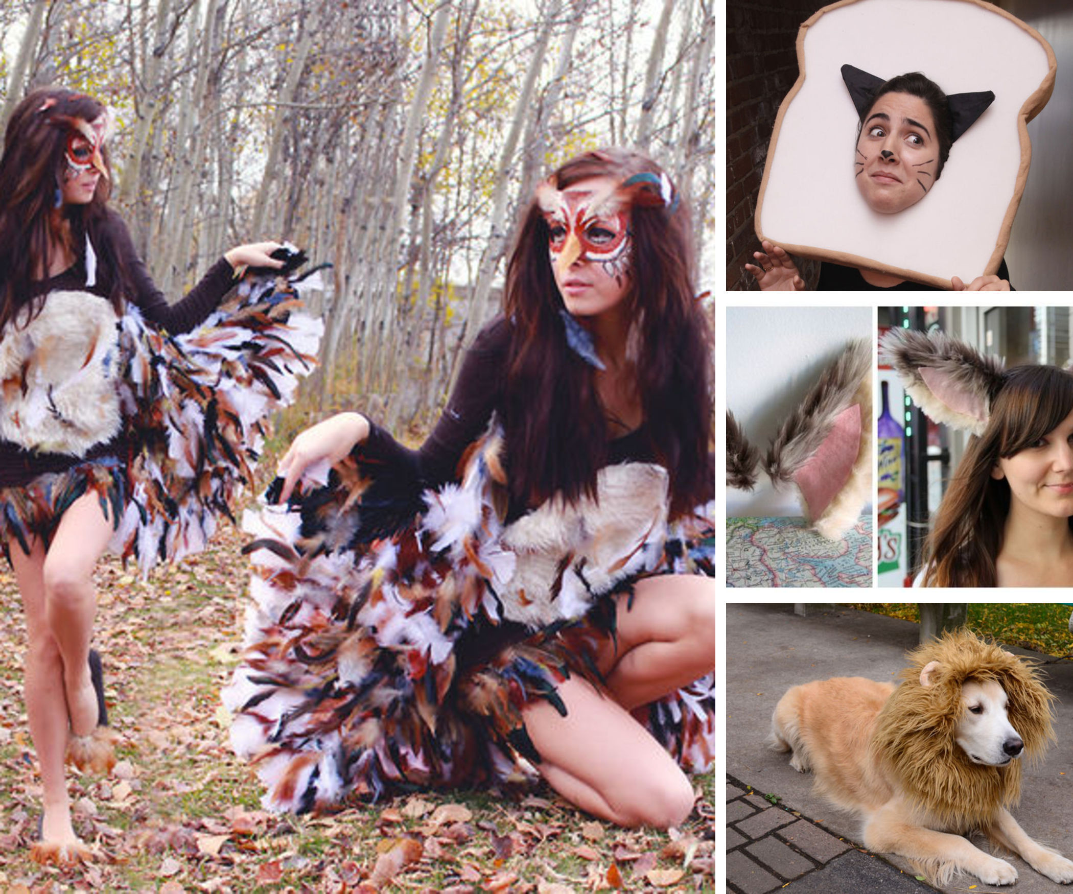 Best ideas about Animal Costumes DIY
. Save or Pin DIY Animal Costumes Now.