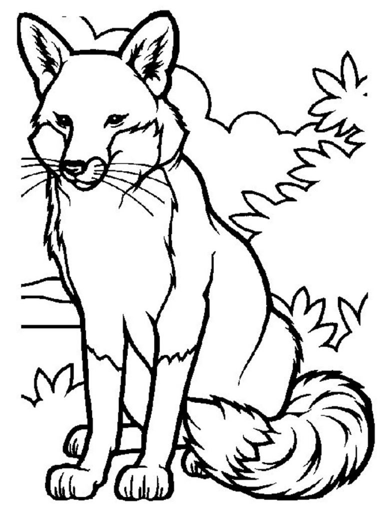 Best ideas about Animal Free Printable Coloring Sheets
. Save or Pin Free Printable Fox Coloring Pages For Kids Now.