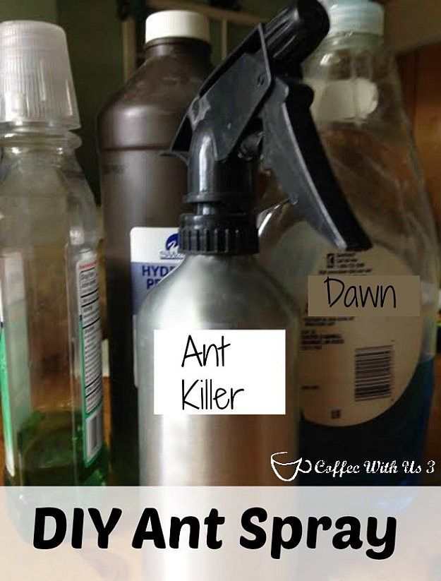 Best ideas about Ant Repellent DIY
. Save or Pin DIY Ant Killer Now.