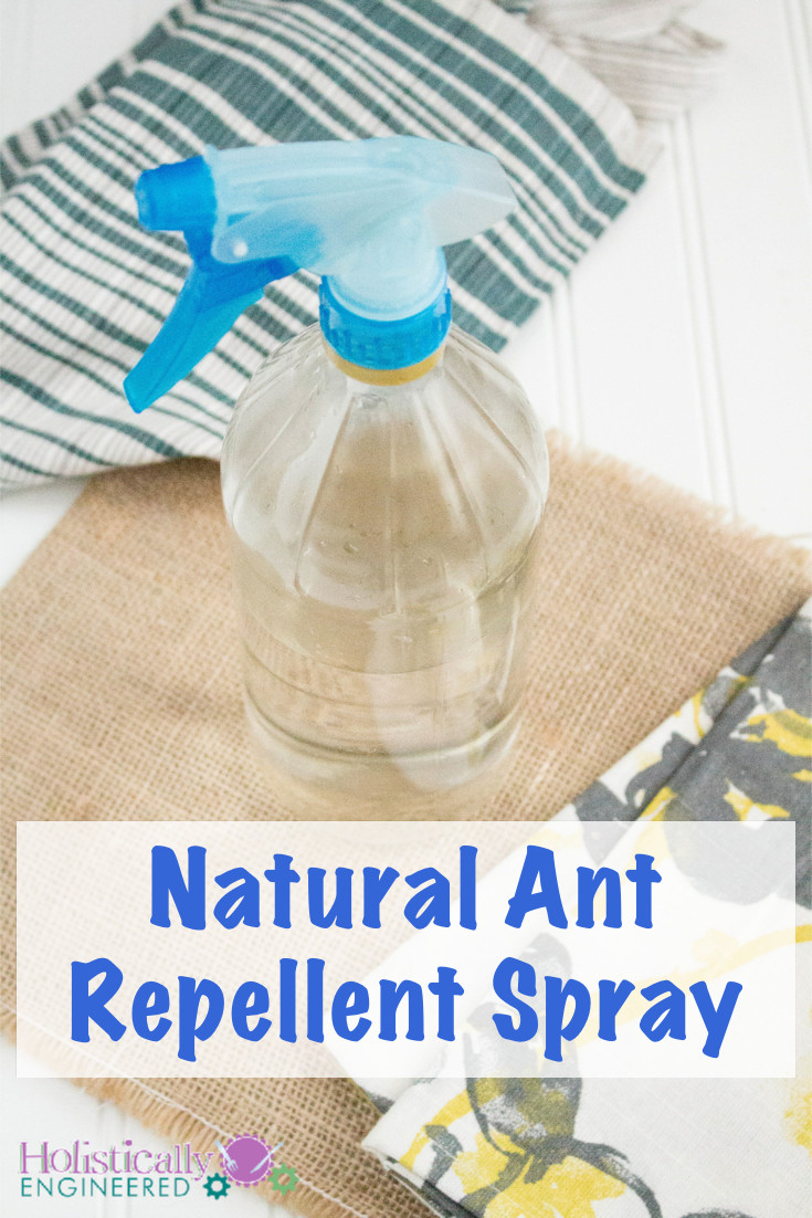 Best ideas about Ant Repellent DIY
. Save or Pin Natural Ant Repellent Holistically Engineered Now.