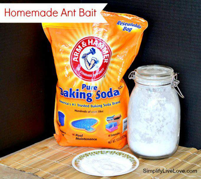 Best ideas about Ant Traps DIY
. Save or Pin Frugal Friday Effective Homemade Ant Bait Simplify Now.