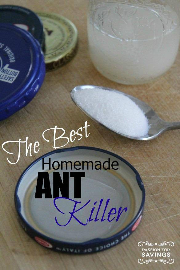 Best ideas about Ant Traps DIY
. Save or Pin The Best Homemade Ant Killer Now.