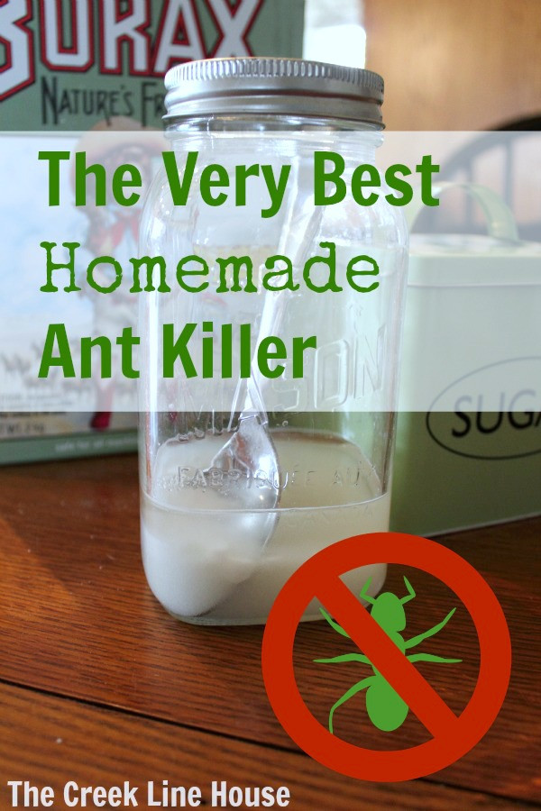 Best ideas about Ant Traps DIY
. Save or Pin The Very Best Homemade DIY Ant Killer The Creek Line House Now.