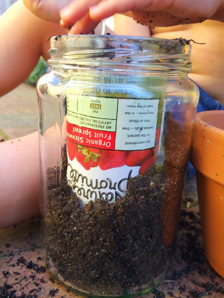 Best ideas about Ant Traps DIY
. Save or Pin DIY Ant Farm – Our Beautifully Messy House Now.