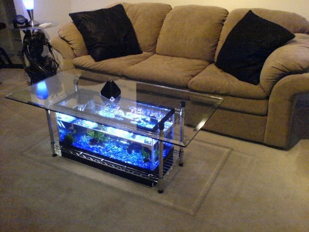 Best ideas about Aquarium Coffee Table DIY
. Save or Pin Spectacular DIY Fish Tank Coffee Table Free Guide and Now.