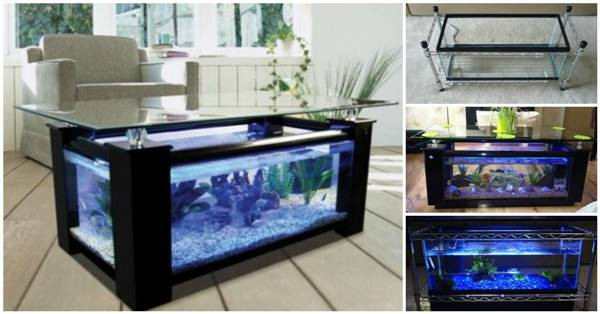 Best ideas about Aquarium Coffee Table DIY
. Save or Pin How to DIY Aquarium Coffee Table Now.