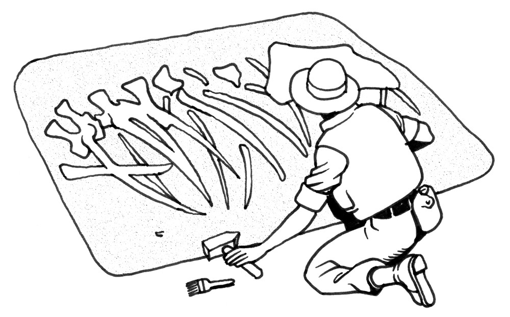 Best ideas about Archaeology Coloring Pages For Kids
. Save or Pin Palaeontology clipart Clipground Now.