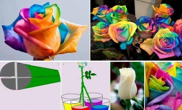 Best ideas about Arts And Crafts To Do At Home
. Save or Pin Rainbow Roses Praktic Ideas 1 Find Fun Art Projects to Now.