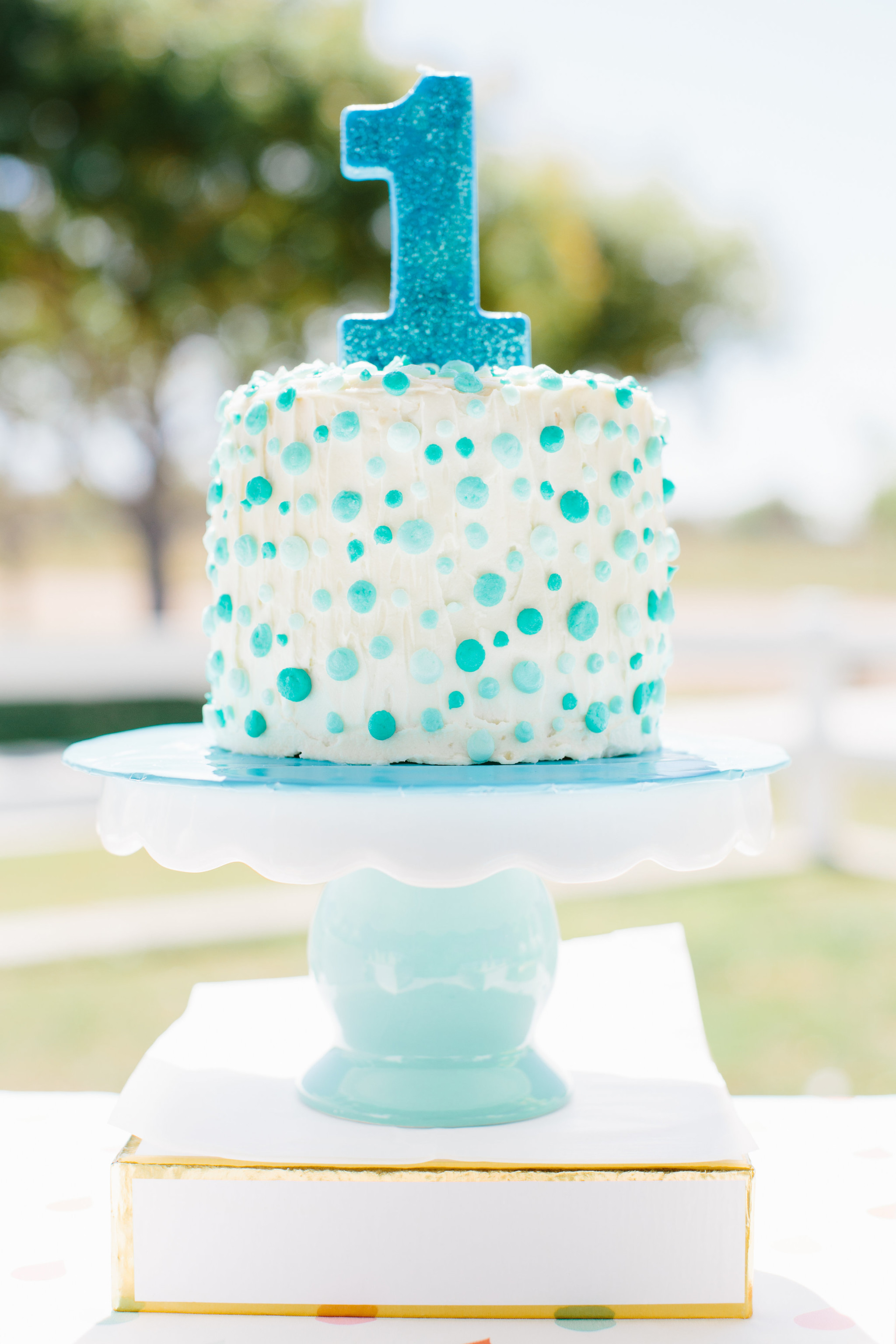 Best ideas about Baby Boy 1st Birthday Cake
. Save or Pin A First Birthday Picnic in the Park Project Nursery Now.