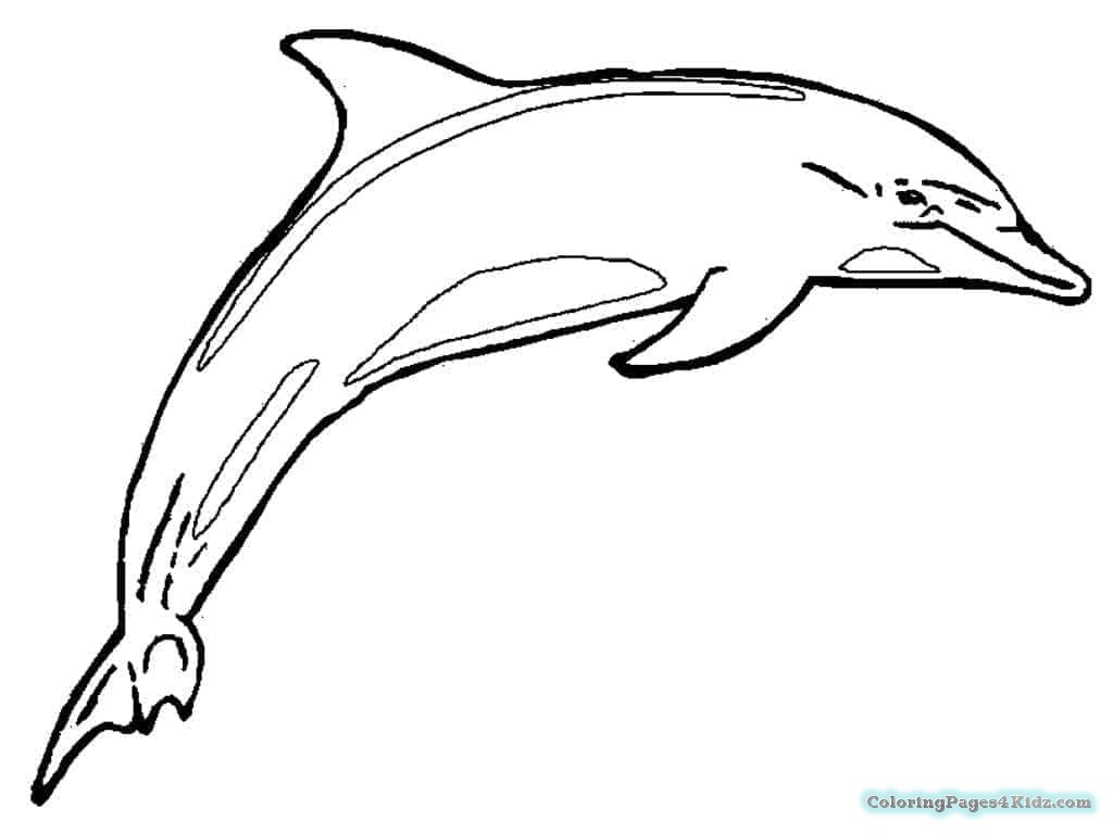 Best ideas about Baby Dolphin Coloring Pages For Kids
. Save or Pin Baby Dolphin Coloring Pages For Kids Now.