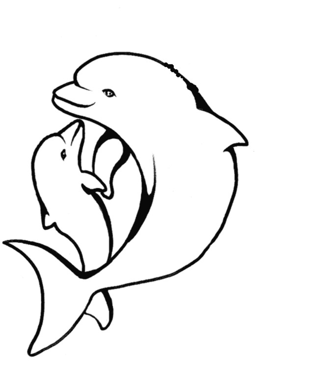 Best ideas about Baby Dolphin Coloring Pages For Kids
. Save or Pin Baby Dolphin Coloring Pages Coloring Home Now.