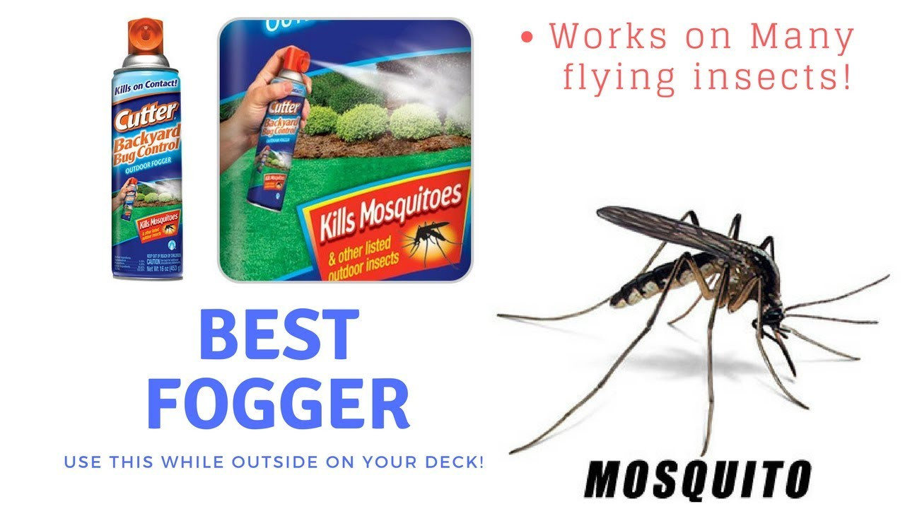 Best ideas about Backyard Bug Control
. Save or Pin BEST BUG CONTROL BACKYARD FOGGER Now.