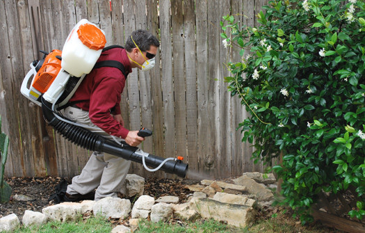 Best ideas about Backyard Mosquito Control Systems
. Save or Pin San Antonio Mosquito Control Now.