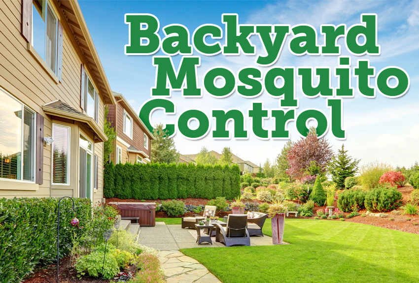 Best ideas about Backyard Mosquito Repellent
. Save or Pin The Best Mosquito Granules for Backyards Mosquito Now.