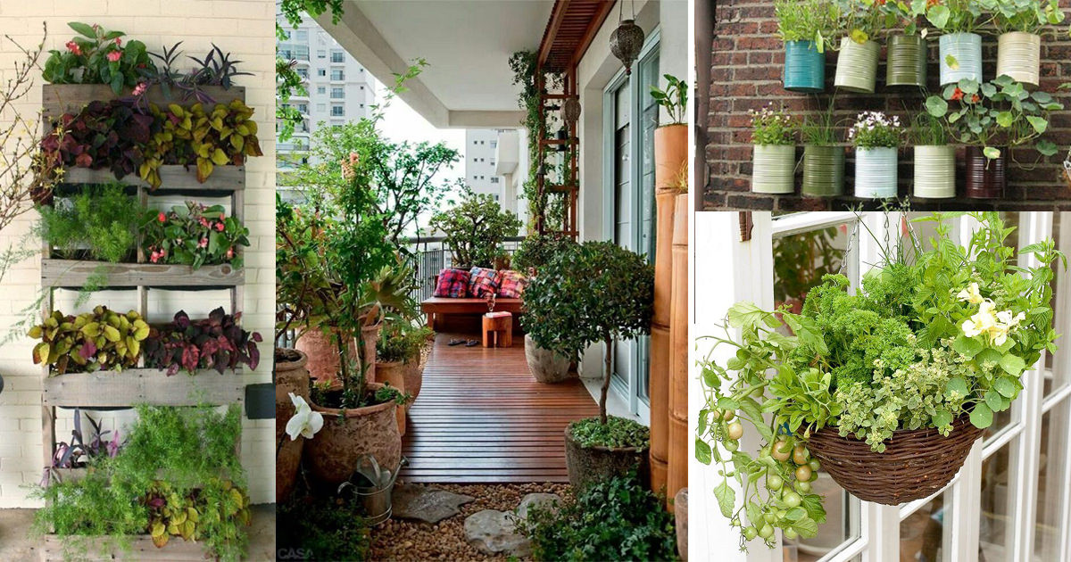 Best ideas about Balcony Garden Ideas
. Save or Pin Creative Ideas for Balcony Garden Containers Now.