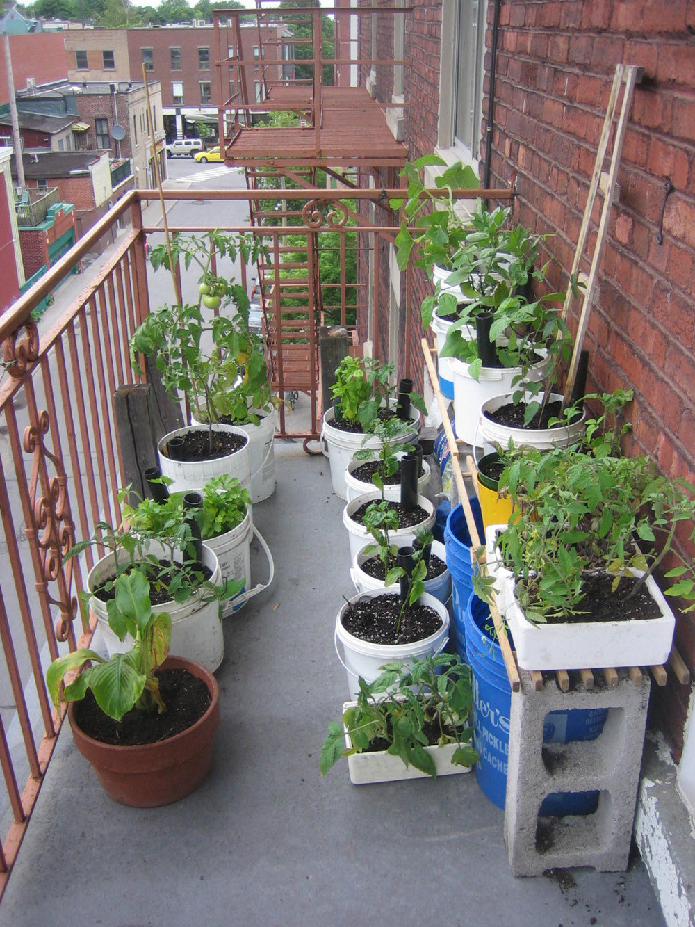 Best ideas about Balcony Garden Ideas
. Save or Pin balcony garden ideas Now.