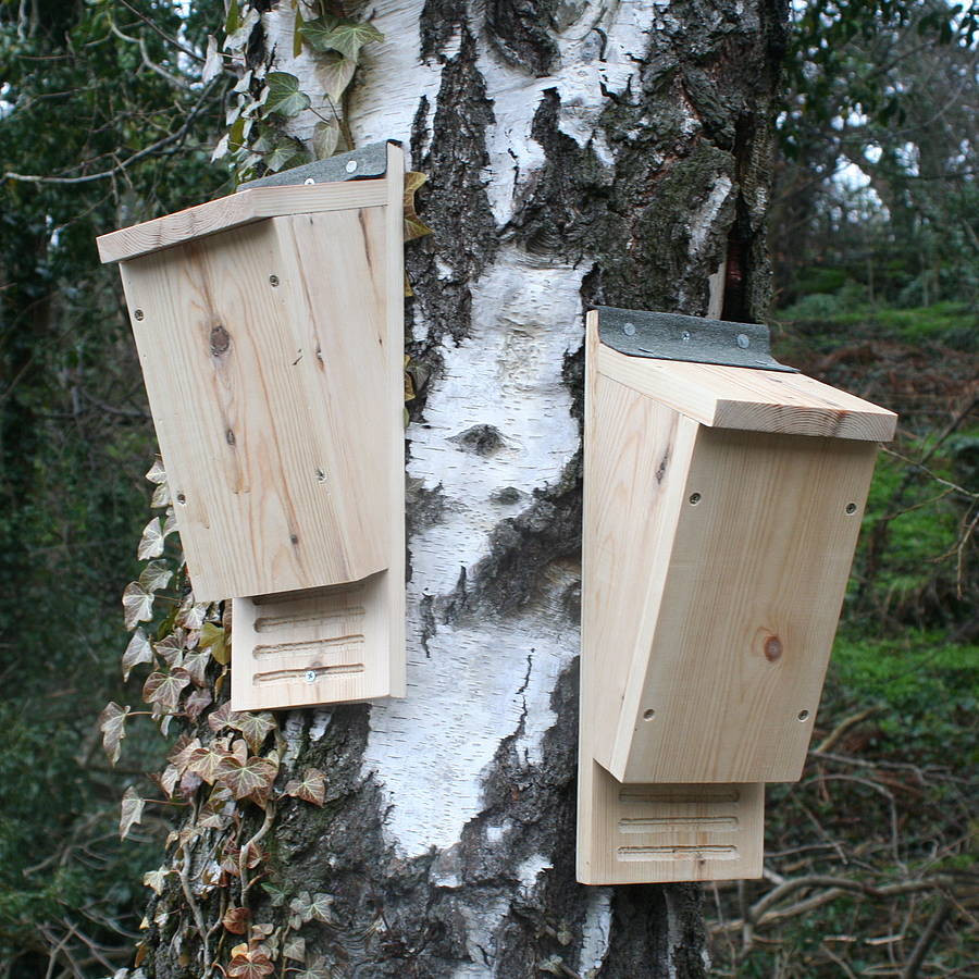 Best ideas about Bat Box DIY
. Save or Pin handmade wooden bat box by wudwerx Now.