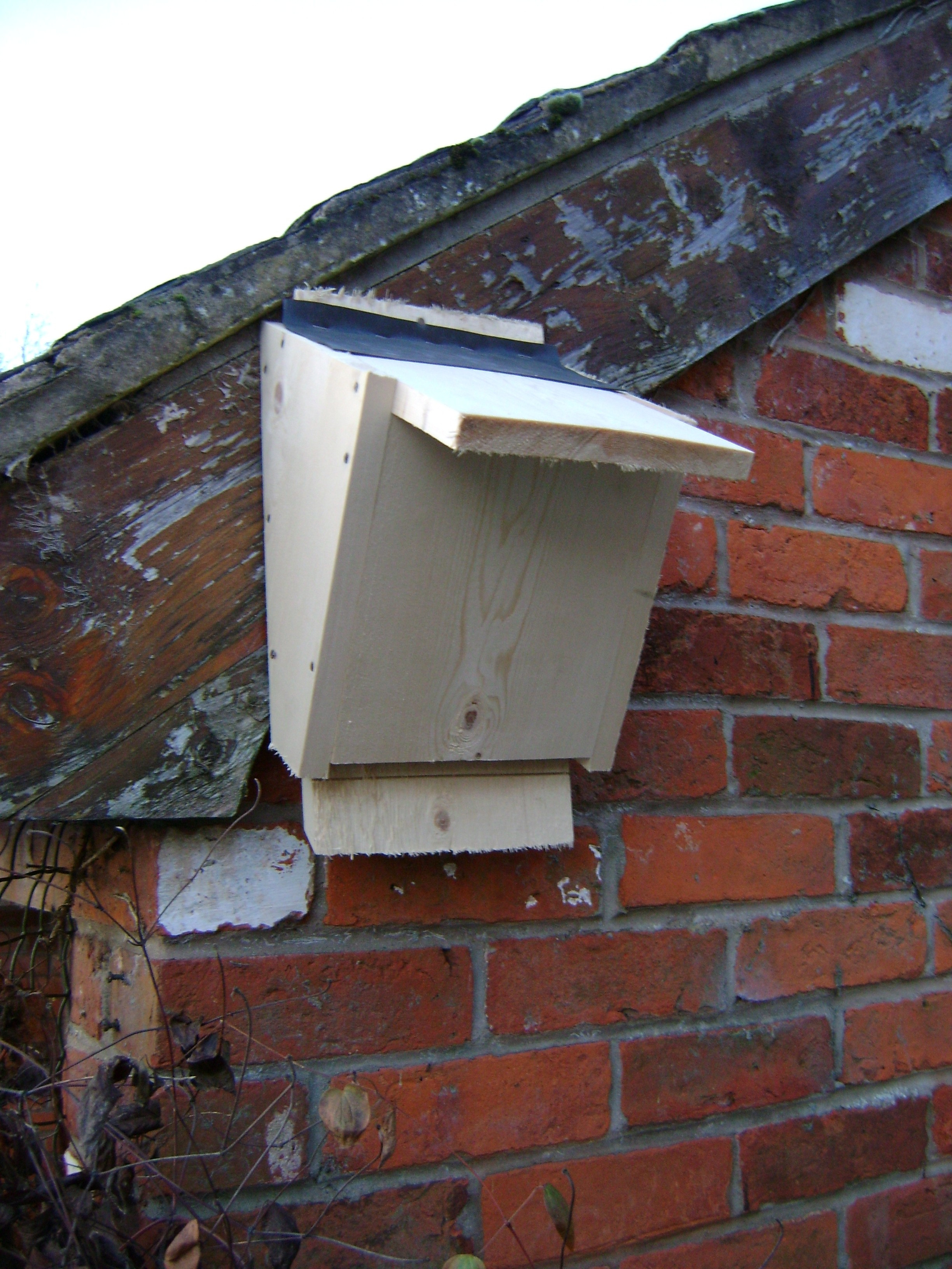 Best ideas about Bat Box DIY
. Save or Pin Build a Bat Box Now.