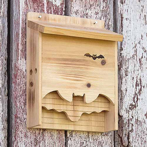 Best ideas about Bat Box DIY
. Save or Pin How to Build a Bat Box with DIY Instructions Now.