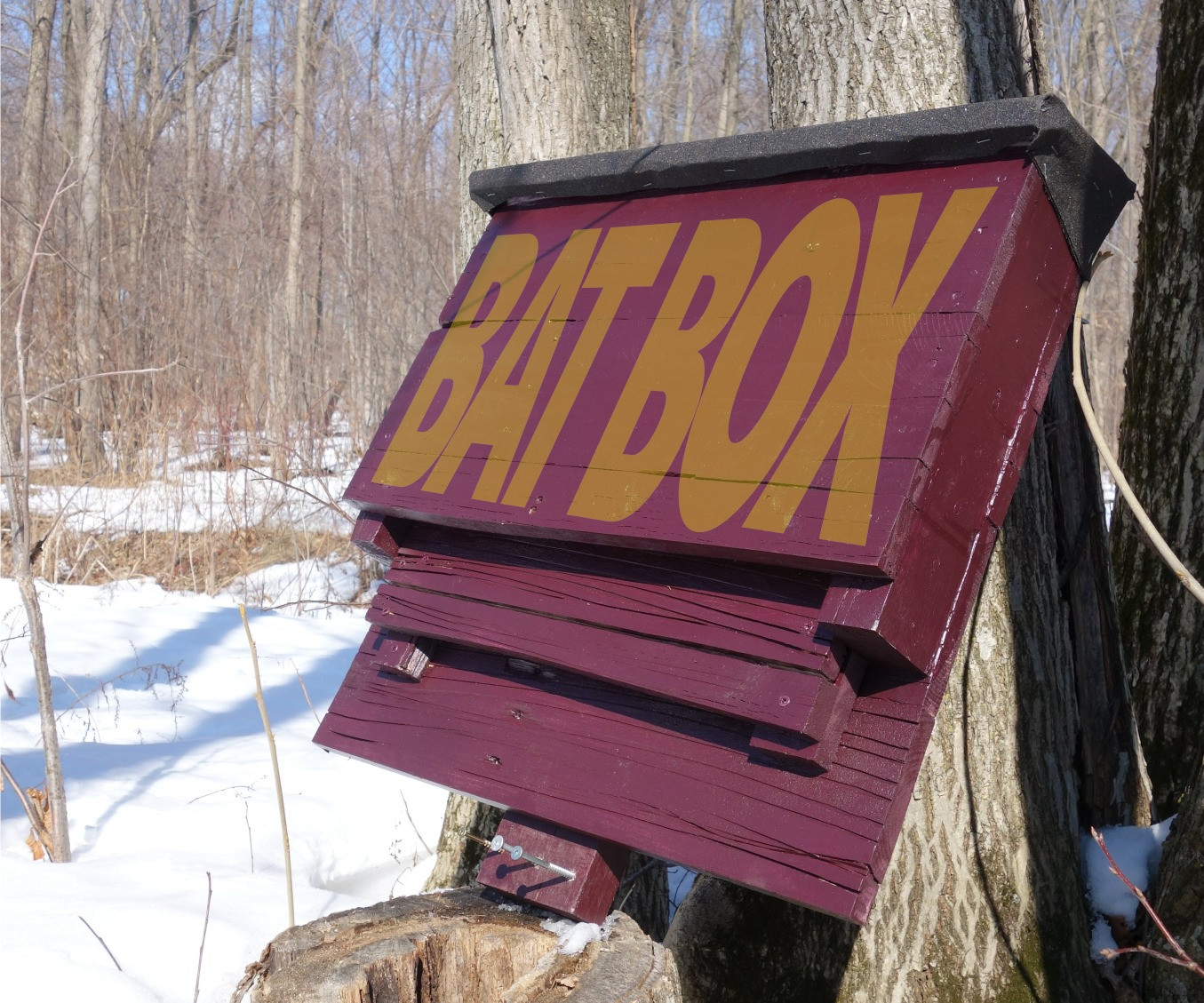 Best ideas about Bat Box DIY
. Save or Pin Bat Box From a Reclaimed Pallet 7 Steps with Now.