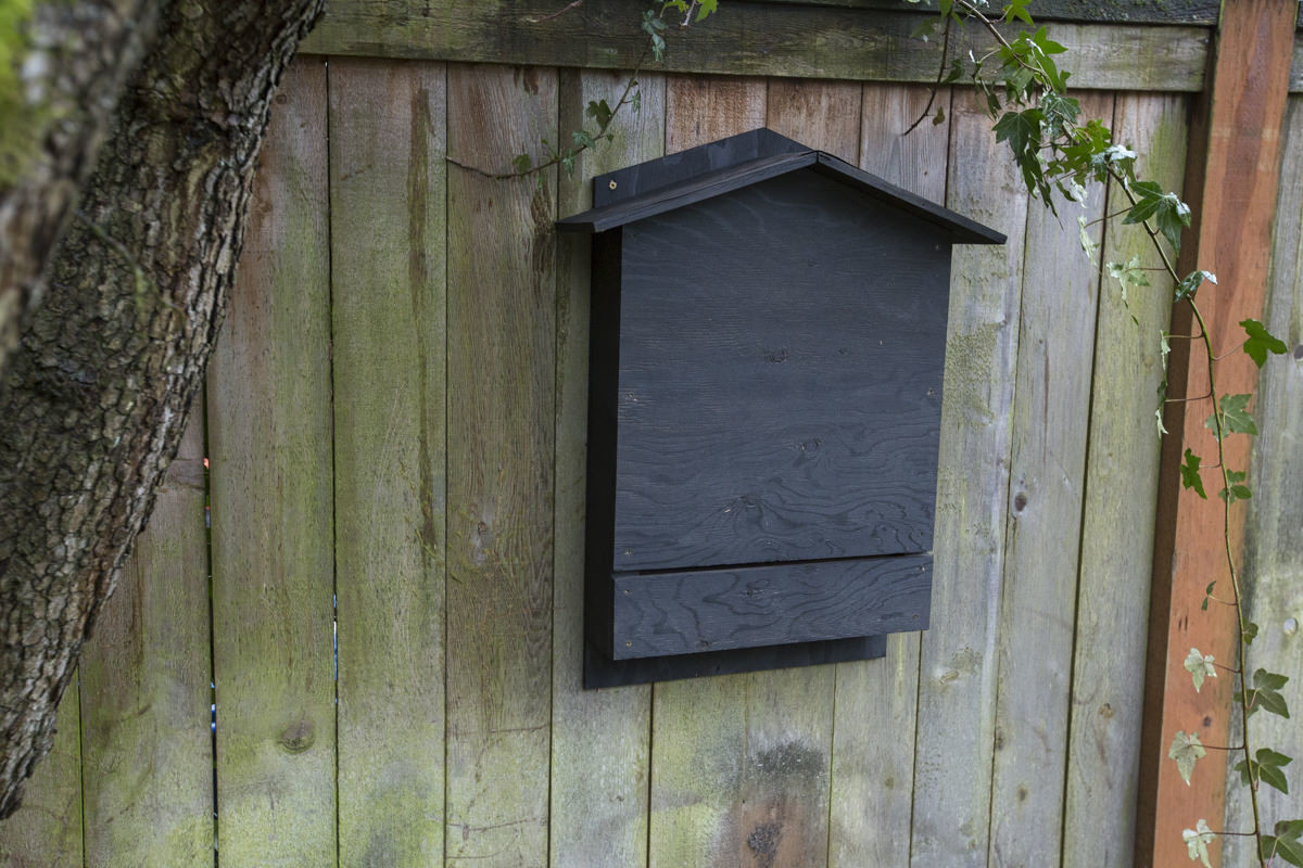 Best ideas about Bat Box DIY
. Save or Pin How To Build A Bat House DIY Bat House Plan Now.