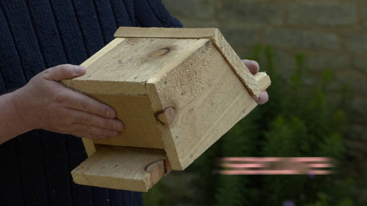 Best ideas about Bat Box DIY
. Save or Pin Build a bat box & help give nature a home Now.