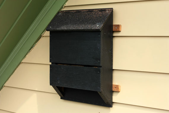 Best ideas about Bat Box DIY
. Save or Pin How Tuesday Build a Bat House Etsy Journal Now.