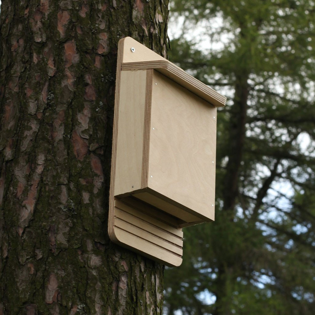 Best ideas about Bat Box DIY
. Save or Pin Bat Box Kit Now.