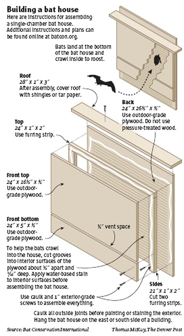Best ideas about Bat House DIY
. Save or Pin Bat houses on Pinterest Now.